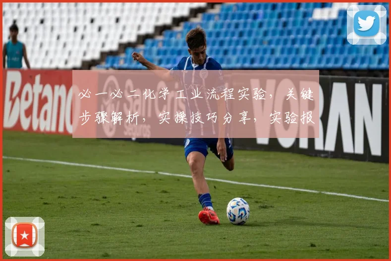 必一必二化学工业流程实验，关键步骤解析，实操技巧分享，实验报告撰写指南