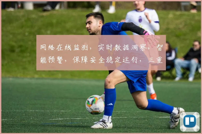 网络在线监测，实时数据洞察，智能预警，保障安全稳定运行，三重保障，优化运营体验。