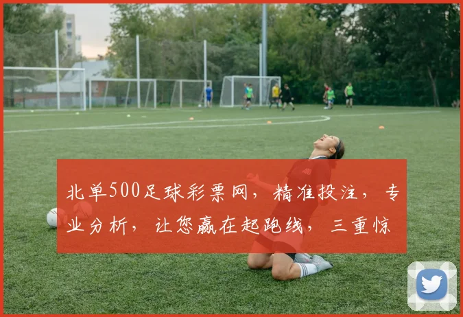 北单500足球彩票网，精准投注，专业分析，让您赢在起跑线，三重惊喜，不容错过