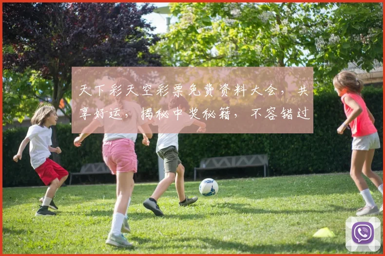 天下彩天空彩票免费资料大会，共享好运，揭秘中奖秘籍，不容错过